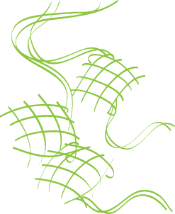 Hari Raya, Ketupat  Vectorise